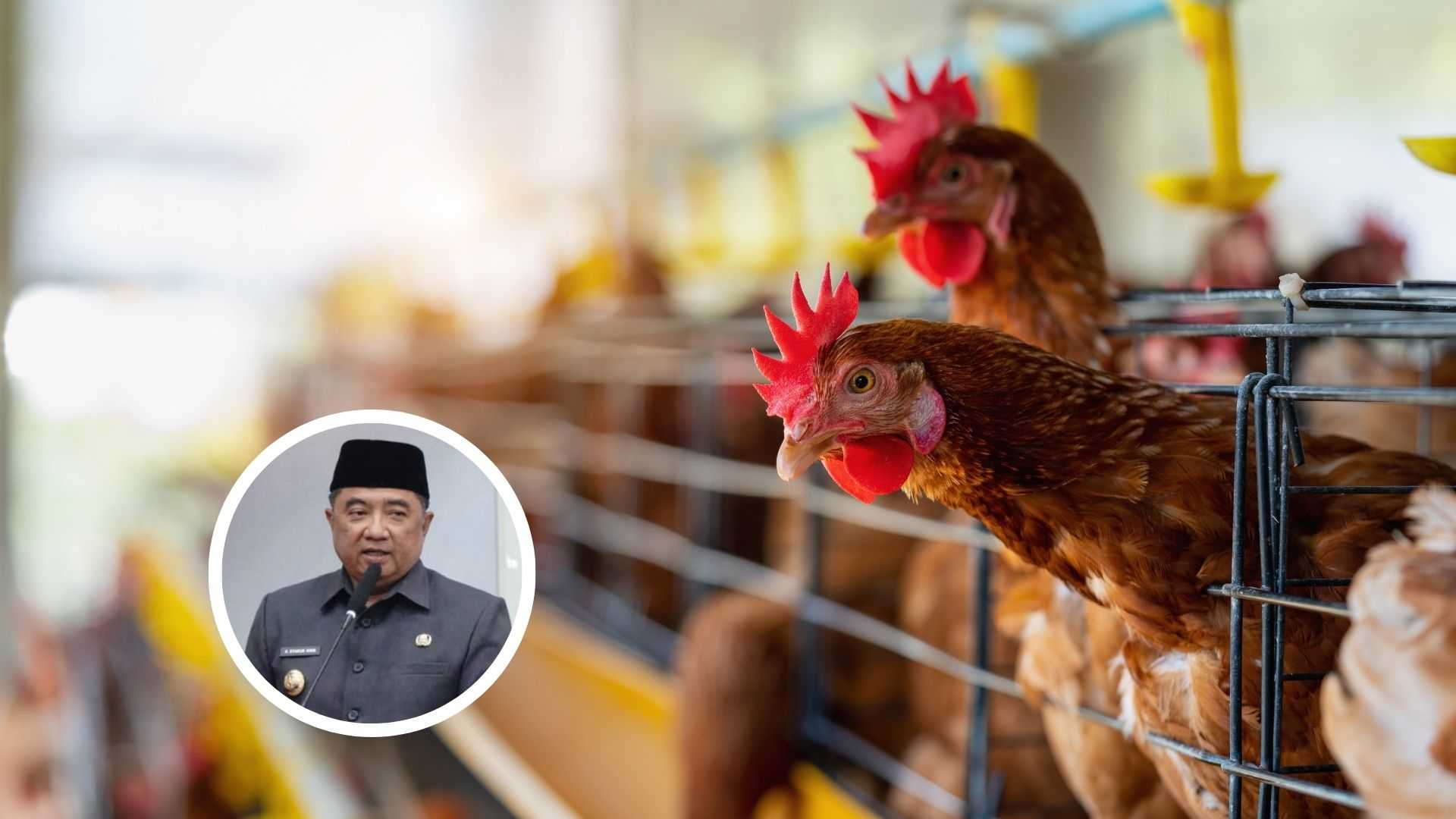 Ditegur Mendagri, Pemkab Garut Sadari Membutuhkan Pabrik Silase Mandiri